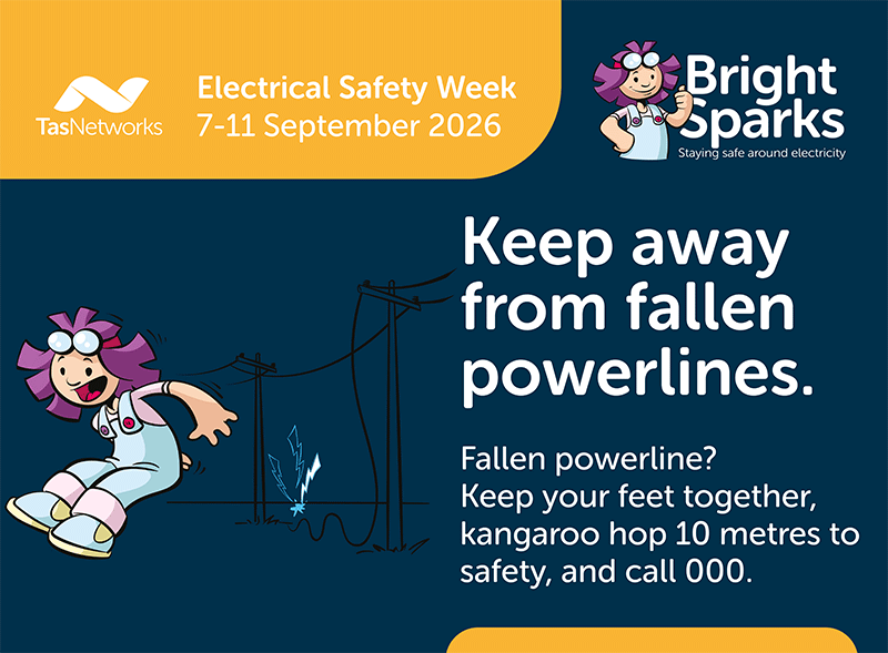 Stay away from fallen powerlines