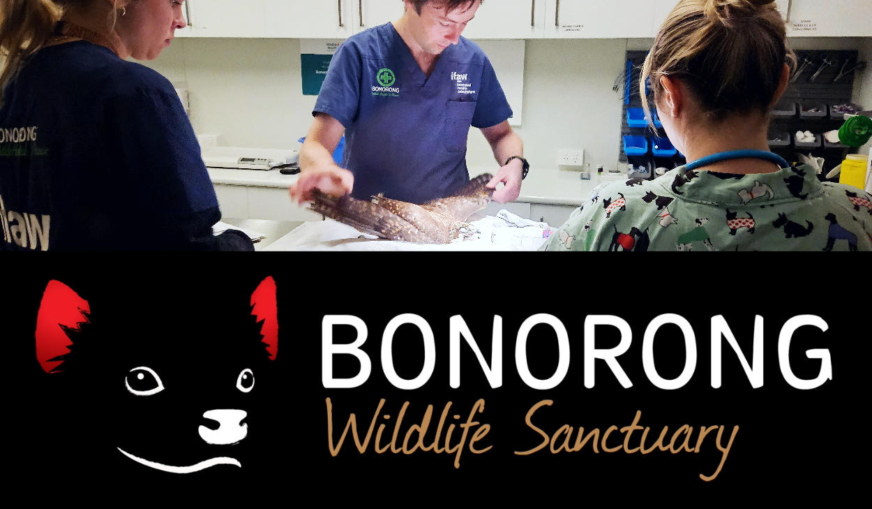 Bonorong Wildlife Sanctuary Partnership